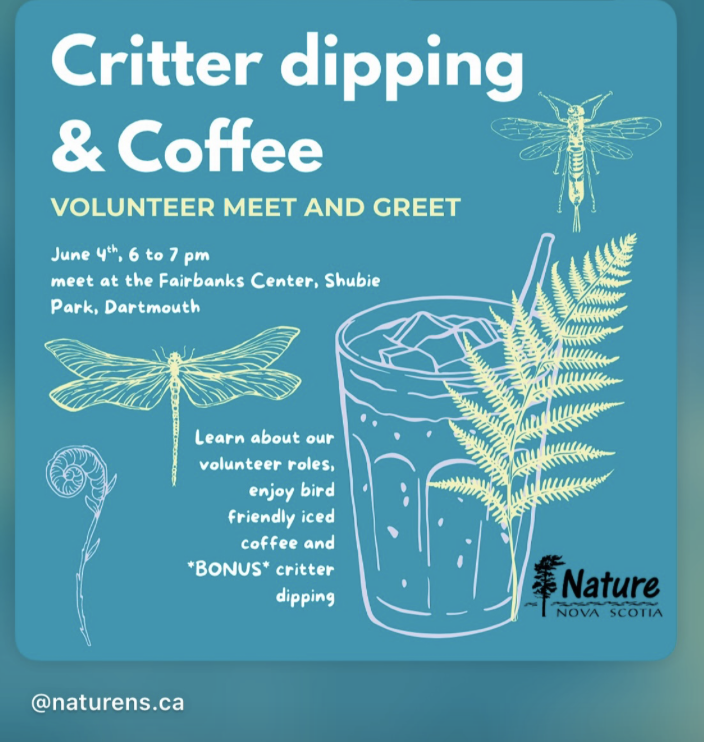 Critter Dipping and Coffee