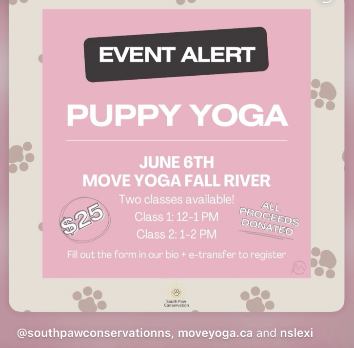 Puppy Yoga Fundraiser